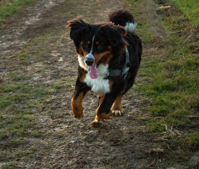 苏珊米勒 周末运势(2.12-2.13)