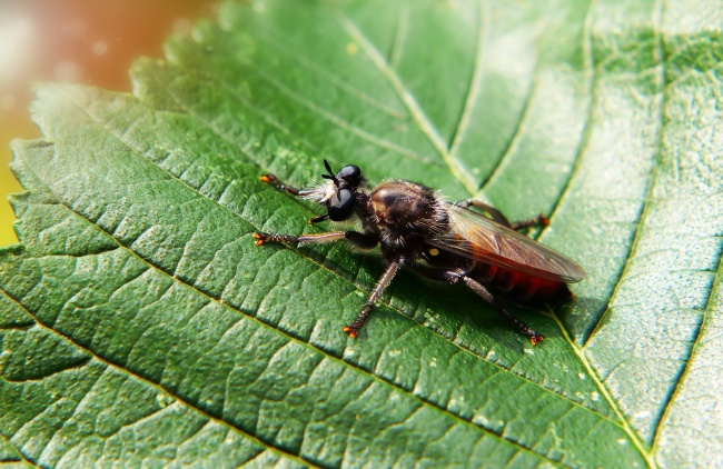 网络科技类公司名字