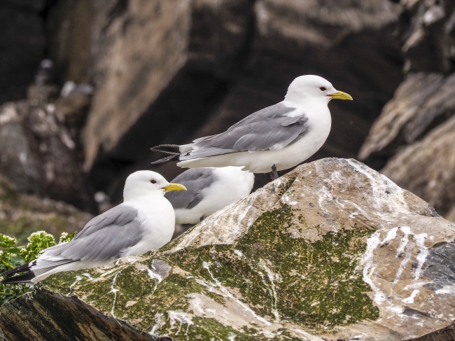 处女男想追你的表现 追问你的过去