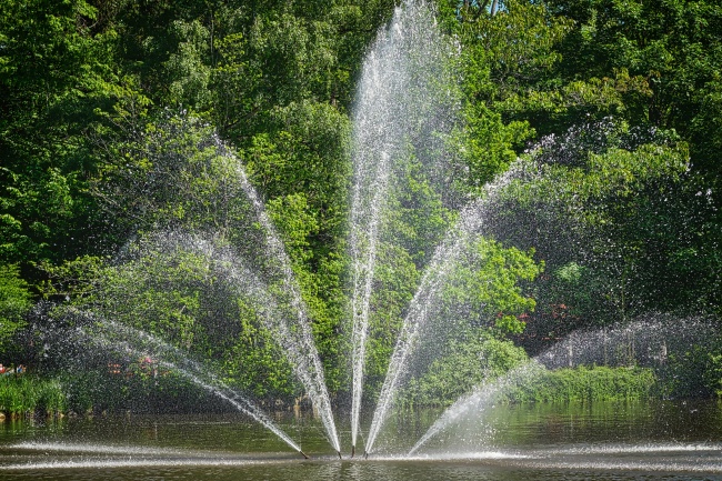 苏珊米勒  每日运势2022年2月11日