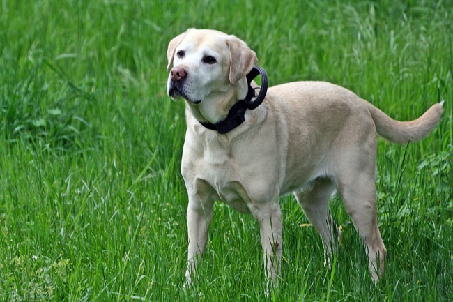 双子爱上谁会走好运 情投意合天生一对