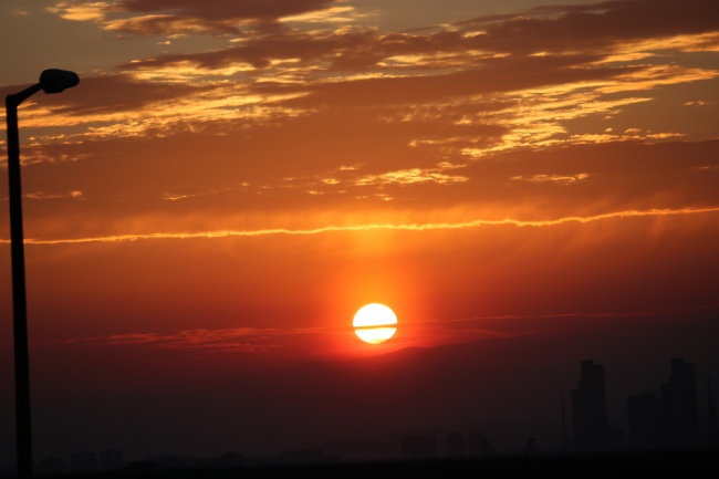 射手感情专一吗 需要做什么