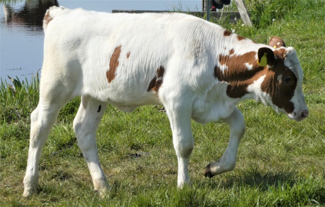 润字公司起名 精选好听的公司名字分享