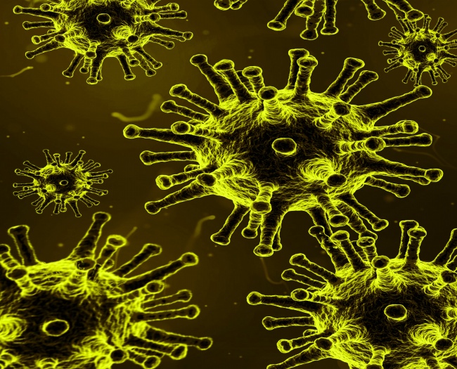 闹闹女巫 让12星座乖乖听话的绝招