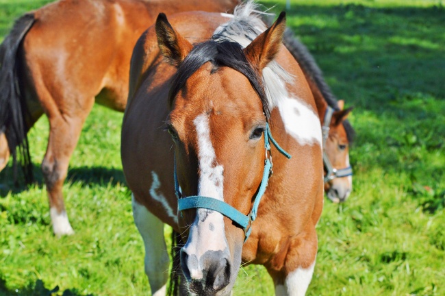 公司起名邦 2022最新公司取名技巧