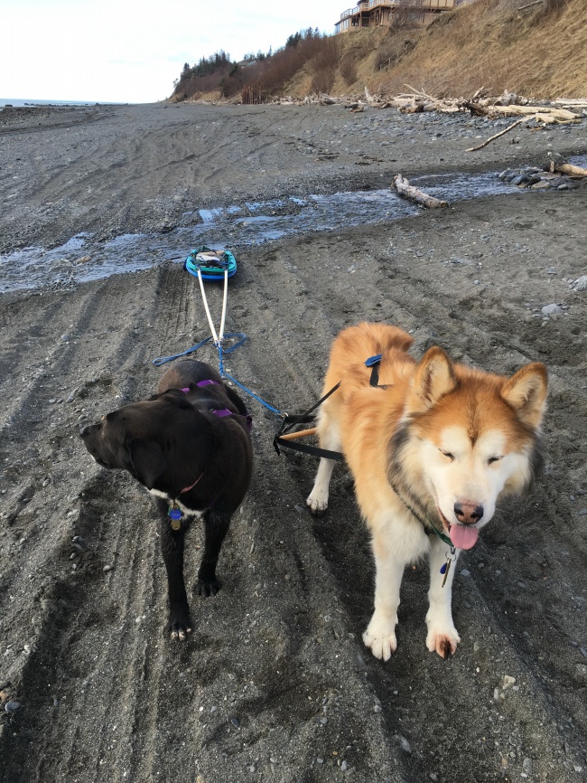 公司取名带于字的最佳宜用名 好名供您选择