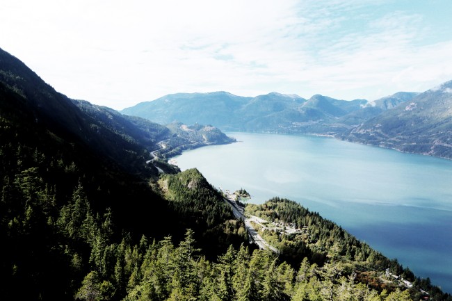 公司起名带木字的最佳宜用名 大气响亮的公司名称