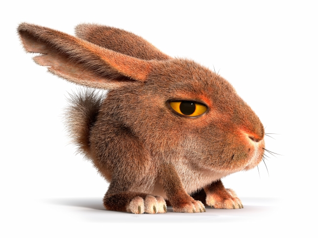 什么细节能感动双子男 喜欢一个人的表现