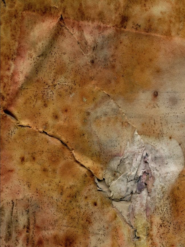 五行属木的最佳公司名 选用积极向上的字眼