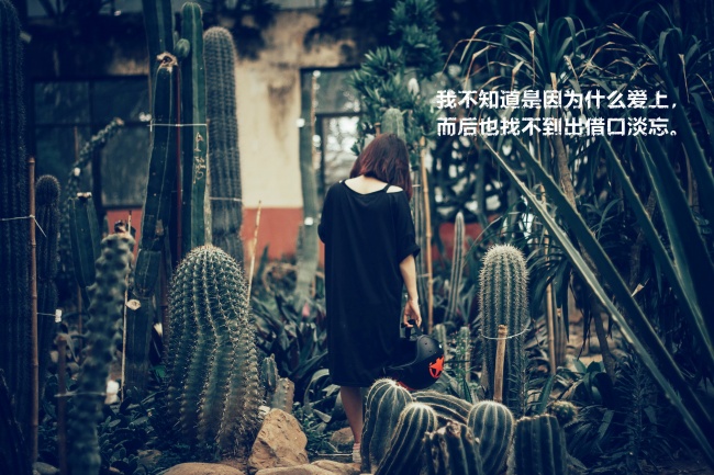 能陪水瓶座一辈子到老的星座 会想待在对方身边