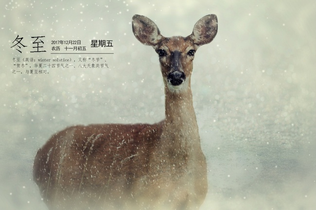 摩羯男变心的前兆 变得爱理不理