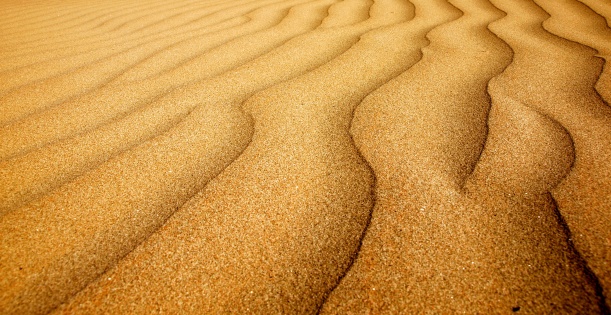 五行属木的字公司起名 公司取名技巧分享