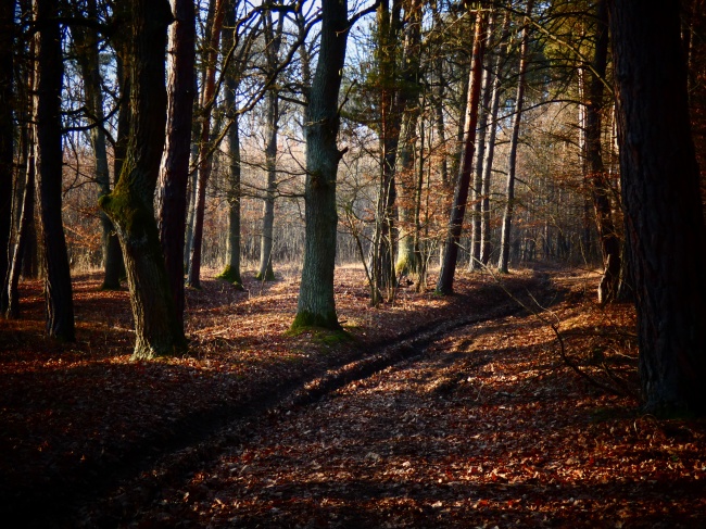 射手男变心的前兆 变心的速度有多快