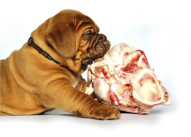 如何走进天蝎座的心里 只需三步轻松搞定