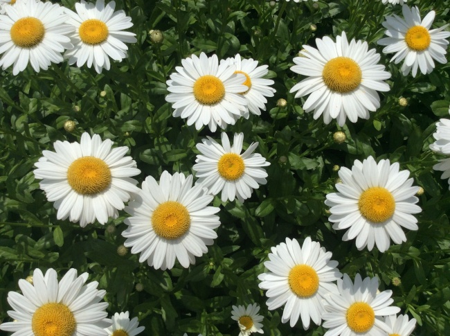 2022年天秤的脱单几率 get脱单妙招