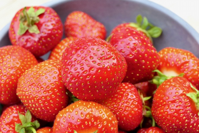 能陪射手座一辈子到老的星座 能保持新鲜感