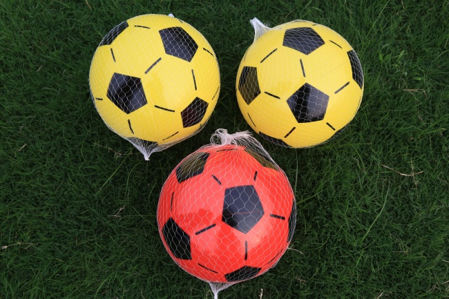 早晚会有大出息的星座 自律敢闯