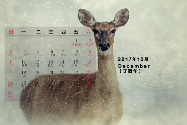 狂月天时 十二星座每日运势2月25日