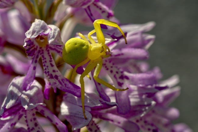 免费的公司名称 起名怎么起更好