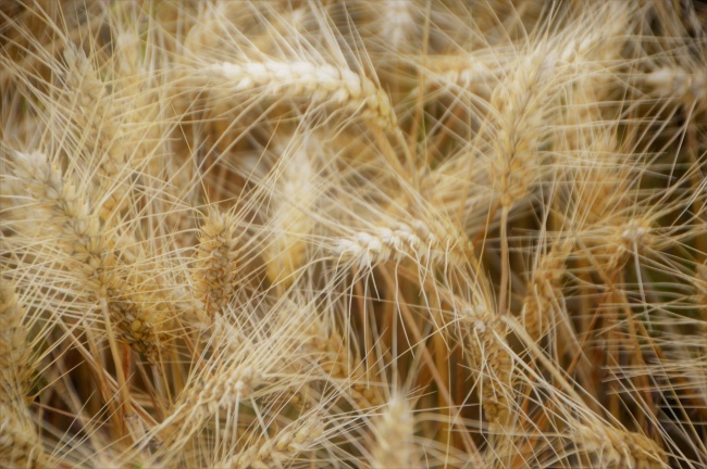 自动化企业怎么起名 公司名称推荐