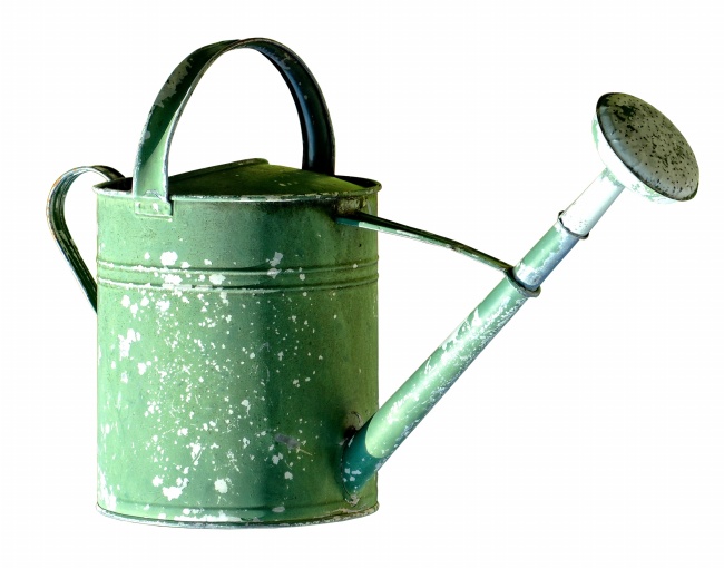 9月的星座是什么星座   杀伤力有点大