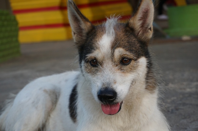 十二星座最信任的星座