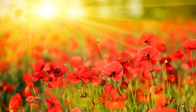 双子座和什么座配对最合适 都是如何相处的？