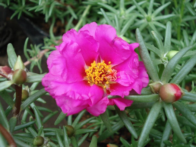 一天需要几次催眠 自信心很容易倒塌的四大星座