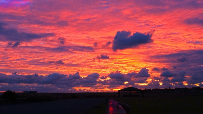 唐立淇 每日星座运势11.25