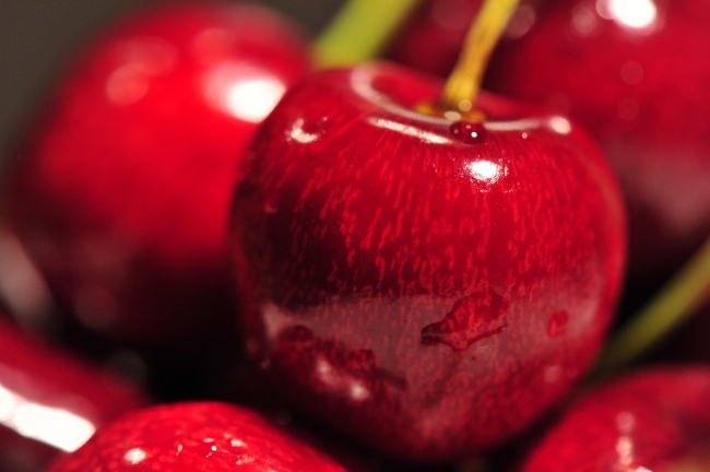 天蝎座的幸运花是什么花 最适合养的花