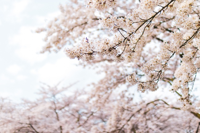 2023年处女男整体运怎么样详情分析  具体情况