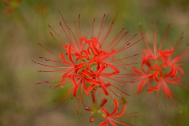 各有所爱 这四大星座男比较喜欢冷面美女