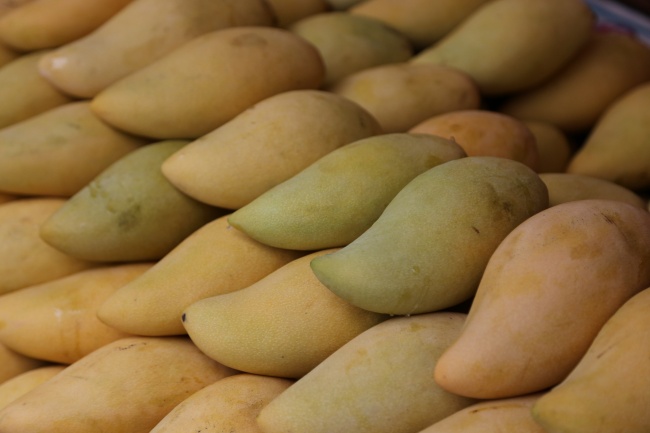 苏珊米勒 每日星座运势11.22