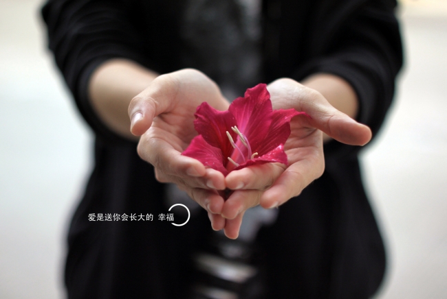 世界十大凄美之花 残酷而美丽的双生花