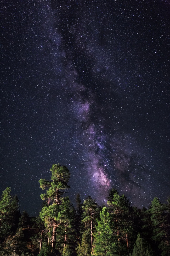 十月初五出生的女人命运 是旺夫命吗?