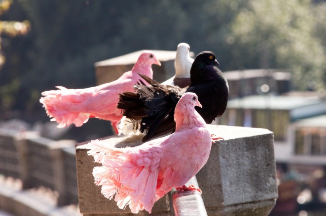 天蝎座2023年真爱出现 爱情运建议