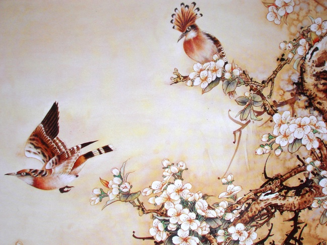 小乖麻  能量整合 双星进入到射手座，给大环境带来好的or坏的影响？！