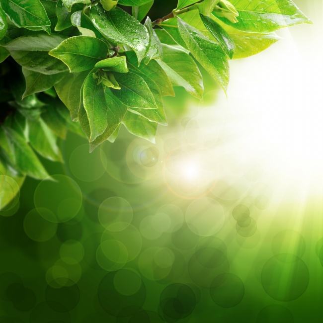 婚姻中 能动手绝不冷战的星座