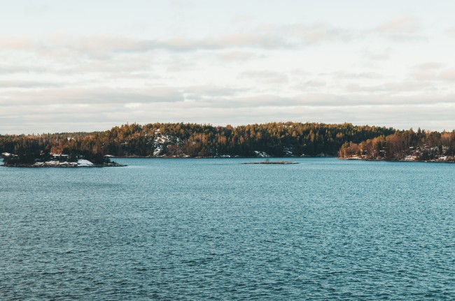 白羊座花语是什么花 在爱情里的态度