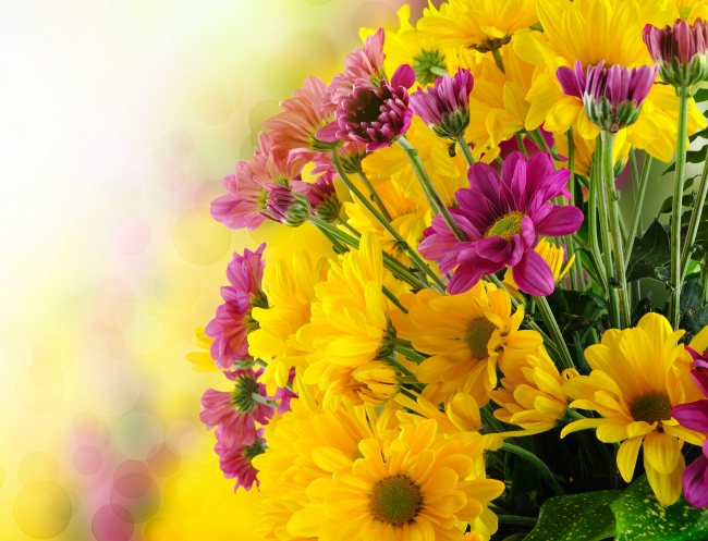 摩羯座为什么怕射手座 射手和摩羯冷战谁会赢