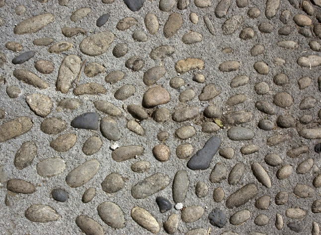 12生肖的特点和优点 各有千秋