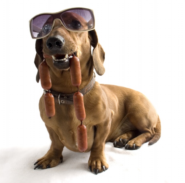 审时度势 这些星座的职场前途很光明