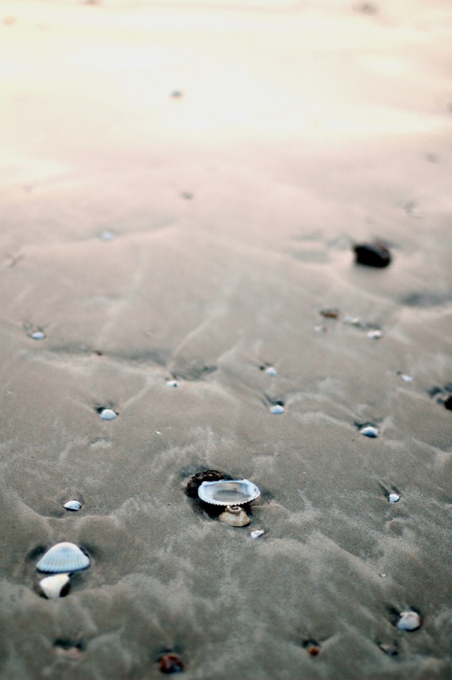 洁癖爱挑刺 让人觉得难接近的星座