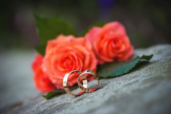 世界十大凄美之花 寓意生离死别的虞美人