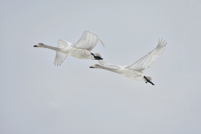 嘴巴镶金 这种星座说话精简不多说一个字