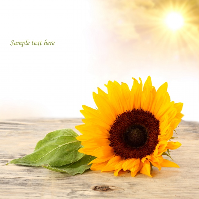 2023年天蝎男偏财运旺不旺详情分析  提运方法