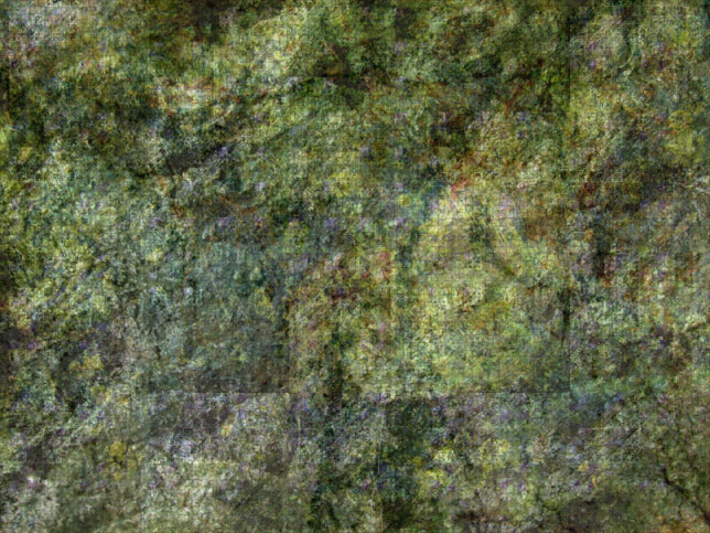 属虎的和属牛的婚姻合适吗&nbsp;女虎男牛是结婚有什么忌讳