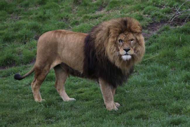 2023年双子女脱单率怎么样  有何脱单建议