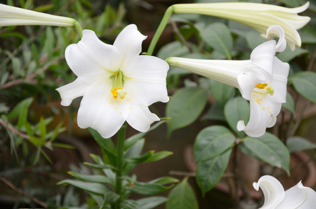 2023年射手男脱单率高吗 正缘是谁？  　　