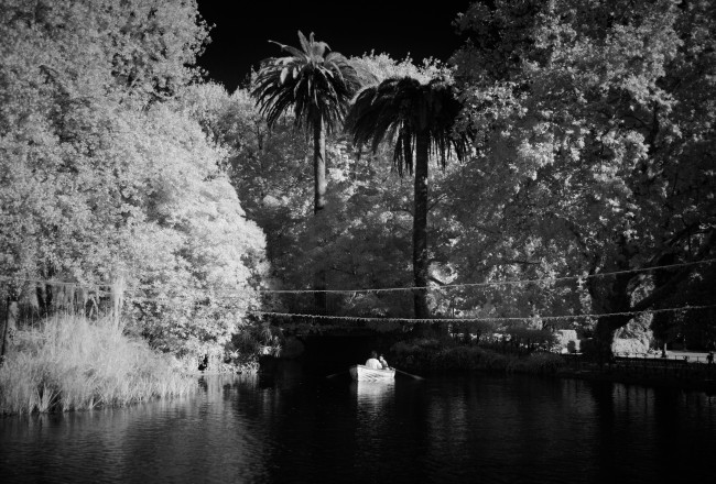 2023年开门红四大星座排行  开头有惊喜